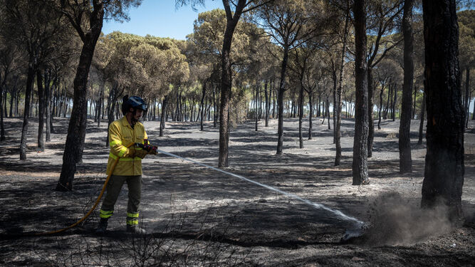 Un bombero refresca la zona del incendio de Bonares.