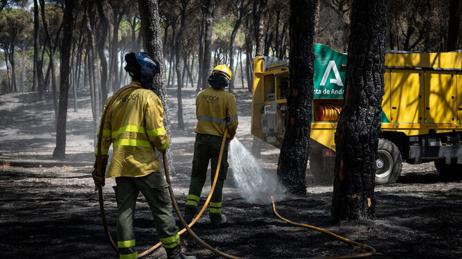 El Infoca declara extinguido el incendio de Bonares