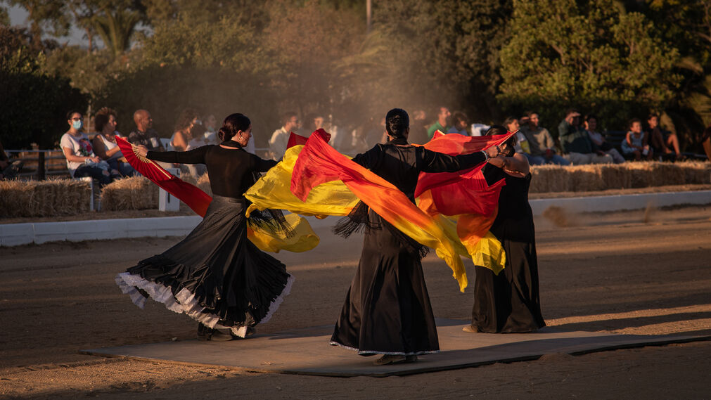 El espectáculo Flamencab en imágenes