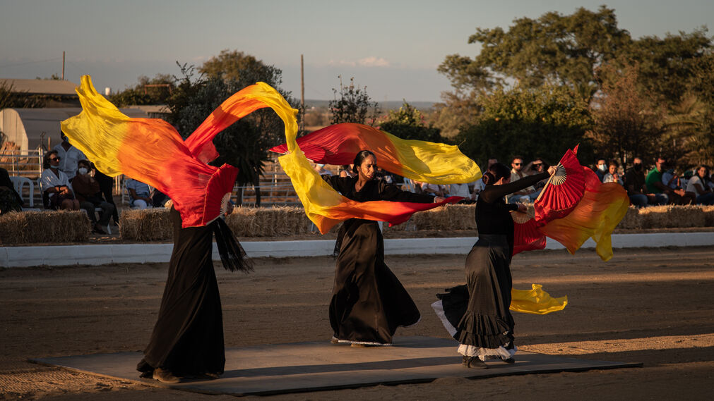 El espectáculo Flamencab en imágenes