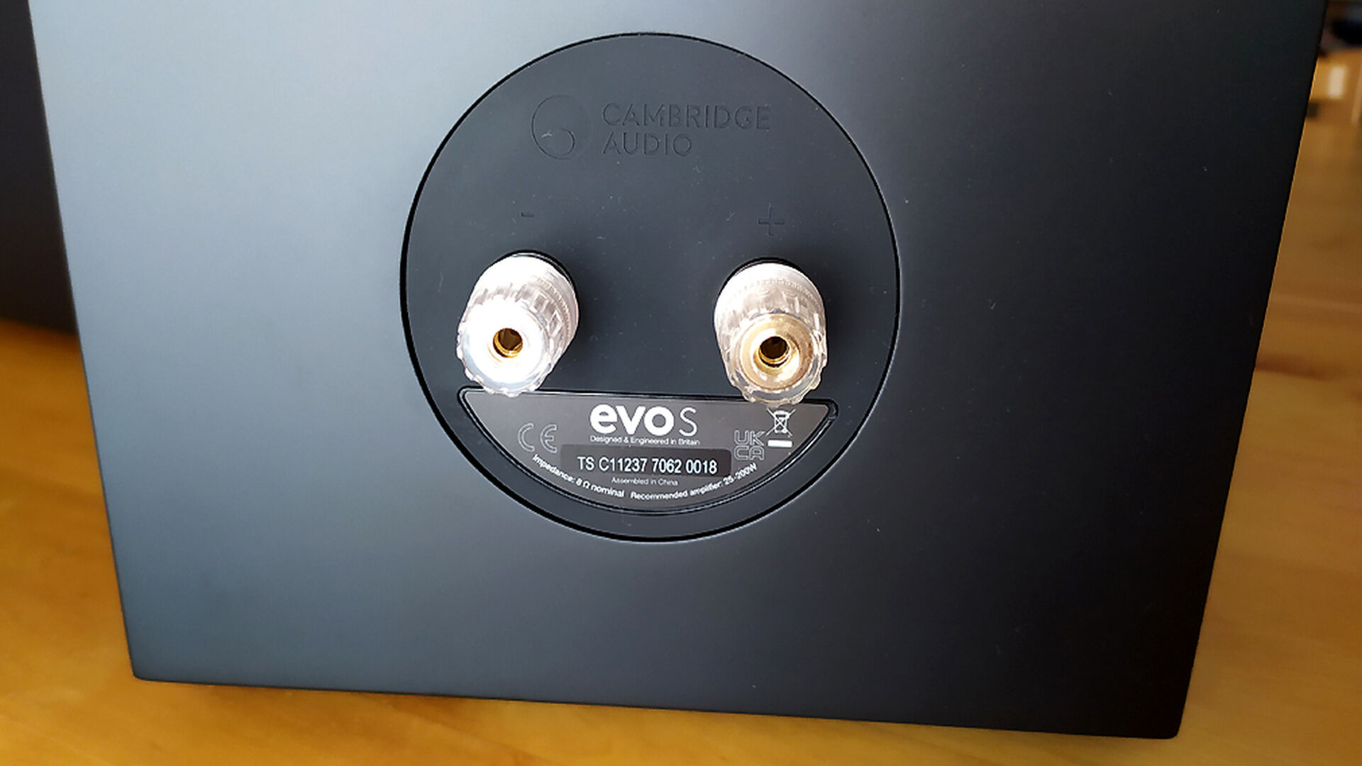 Conectores de los altavoces Evo S de Cambridge Audio