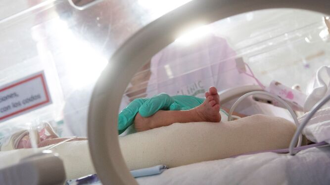 Un bebé en una incubadora