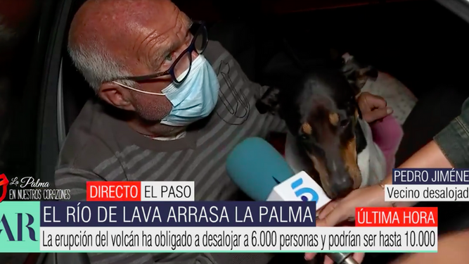 Pedro, el hombre de La Palma que dormía con sus mascotas en el coche, ya tiene casa de acogida