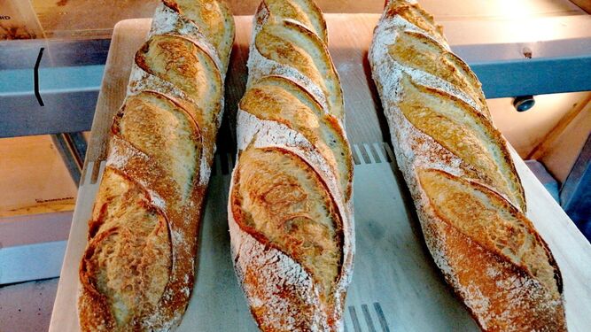 El pan artesanal de Aracena que se expande por Andalucía