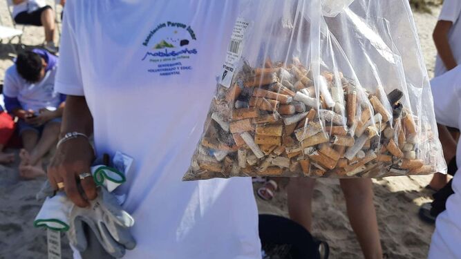 Una bolsa de colillas recogida por los voluntarios de la Asociación Parque Dunar Matalascañas.
