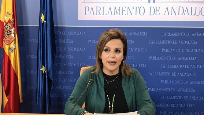 La diputada de Adelante Andalucía durante su comparecencia ante los medios.