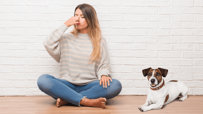 ¿Cuándo podría ser el olor síntoma de una enfermedad en tu mascota?