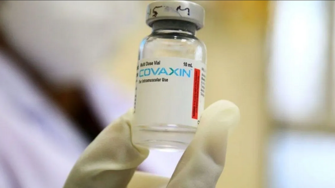 Vacuna india Covaxin contra el coronavirus