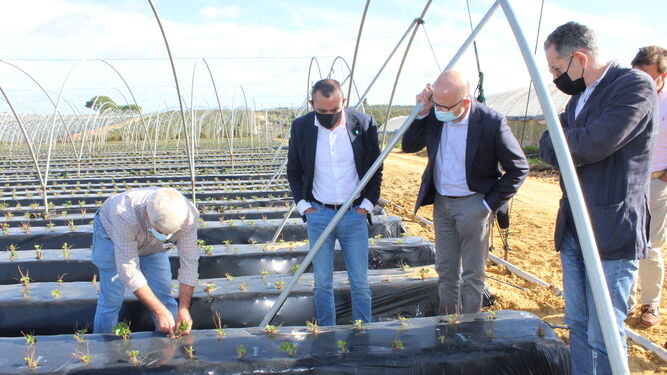 Visita de Valentín Almansa y Manuel Gómez a la provincia para conocer nuestros cultivos y las demandas del sector.