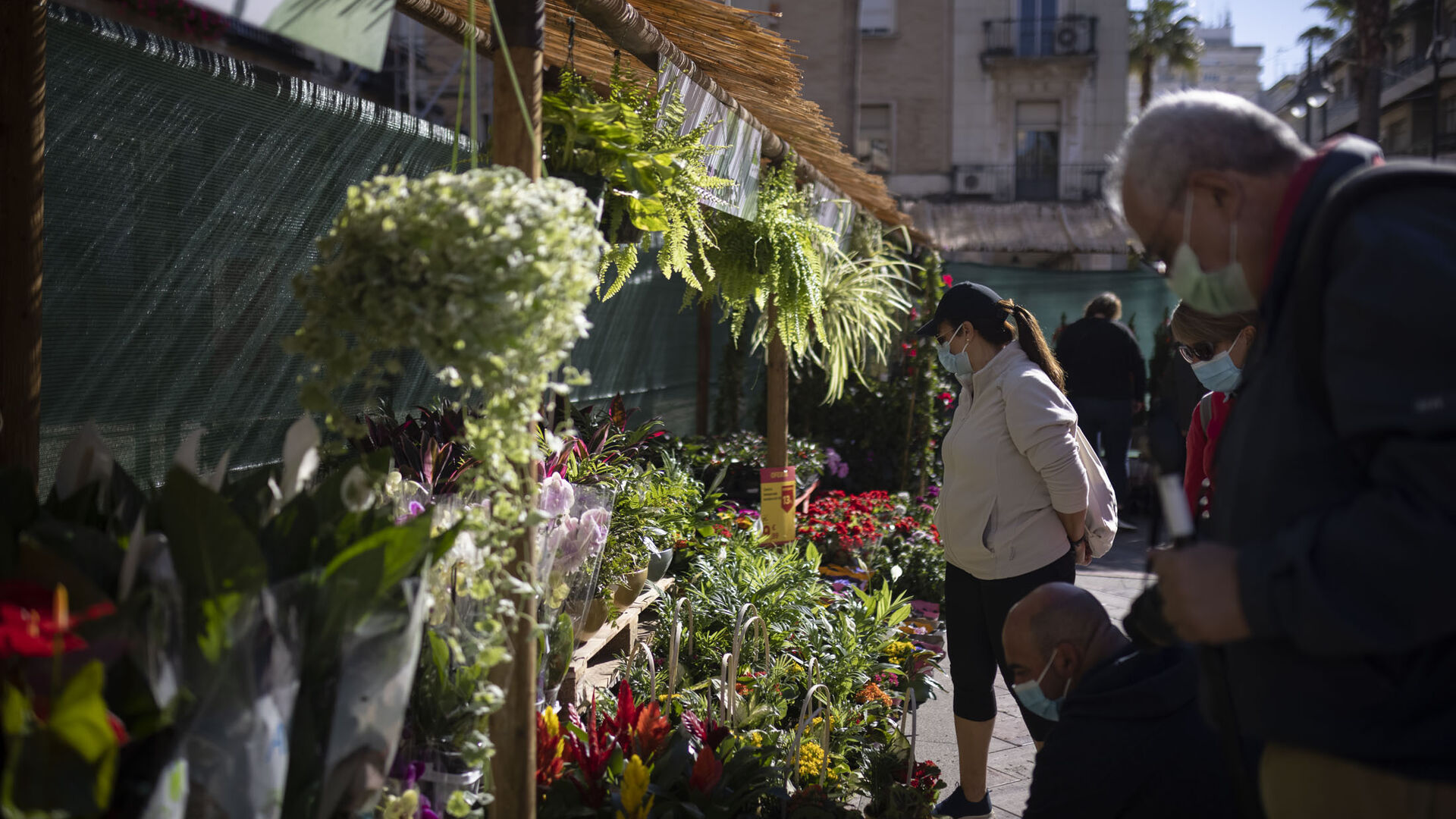 Imágenes del mercado de las flores en la Plaza de Constitución