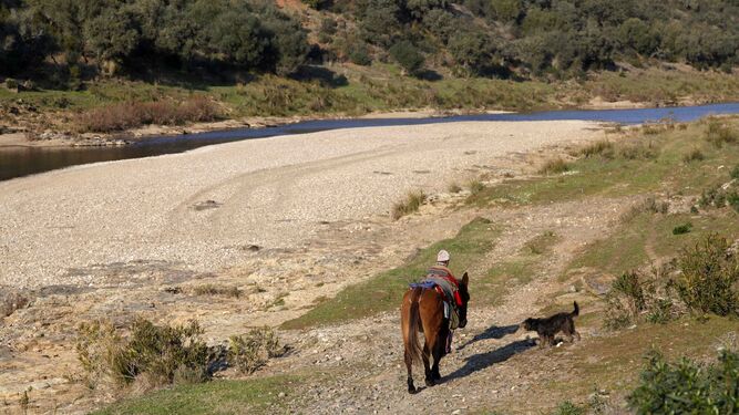 Un pastor remonta con su mula y un perro la Ribera del Chanza, como antaño lo hicieron numerosos contrabandistas
