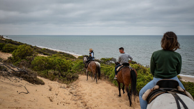Una ruta a caballo para disfrutar del entorno de Doñana