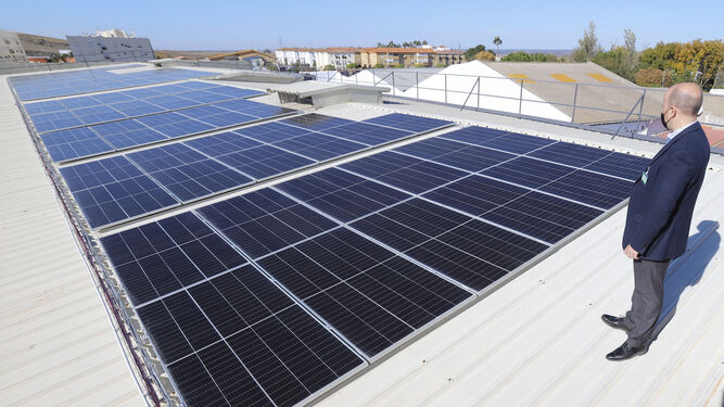 Paneles solares del Mercadona de La Palma del Condado.
