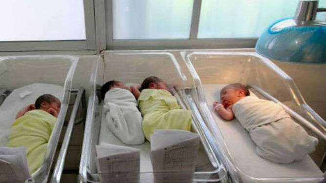 Bebés en una sala de incubadoras