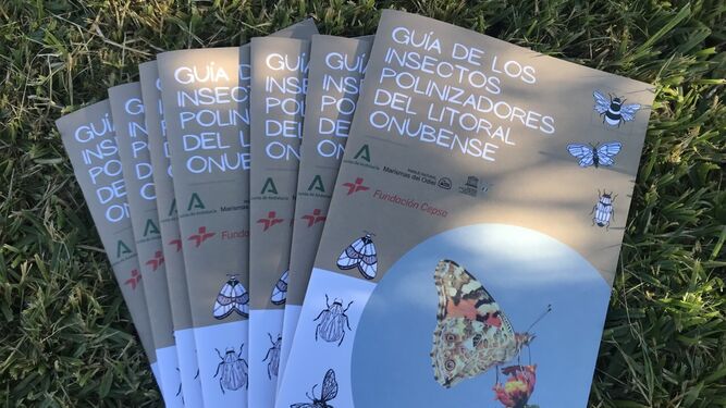 'Guía de los insectos polinizadores del litoral onubense'.