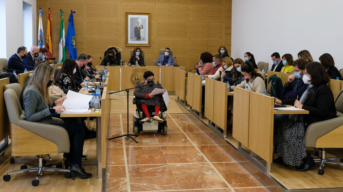 Lectura de la declaración institucional por el Día Internacional de las Personas con Discapacidad en el pleno de la Diputación de Huelva.