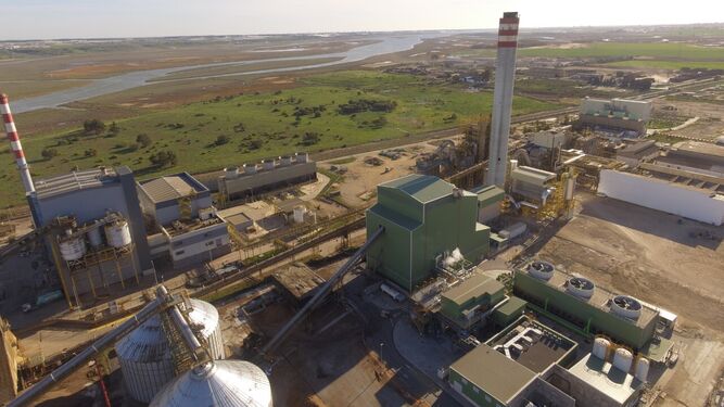 Planta de energía renovable de Ence en Huelva.