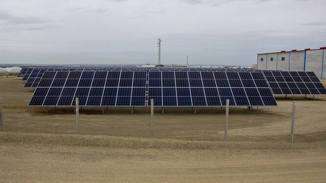 La Comunidad de Regantes cuenta con una nueva planta fotovoltaica.