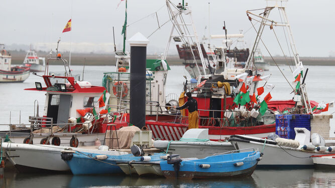 Barcos y artes de pesca  en Punta Umbría