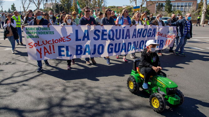 Agricultores del Bajo Guadalquivir reclaman ayudas urgentes ante situación sequía.