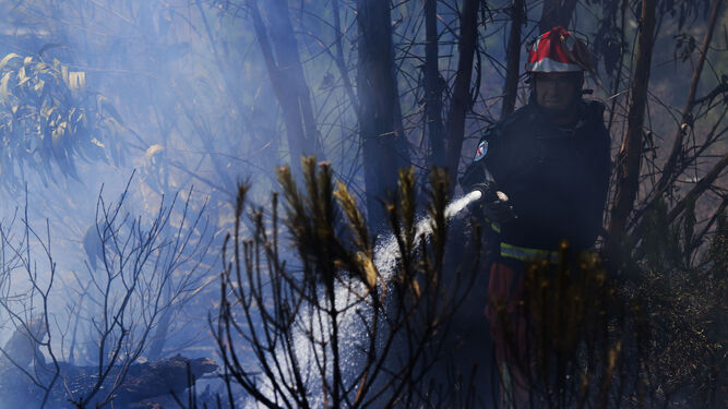 Un bombero refresca una zona afectada por un incendio forestal.