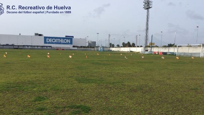 La Ciudad Deportiva del Recre tendrá una nueva 'imagen' tras la inversión.
