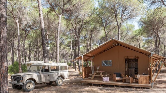 3 campings para alojarse en Doñana