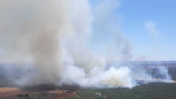 El Infoca ya ha estabilizado el incendio en la zona de La Peñuela de Niebla.
