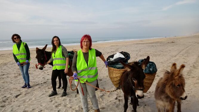 Burritos y voluntaria limpian la costa onubense.