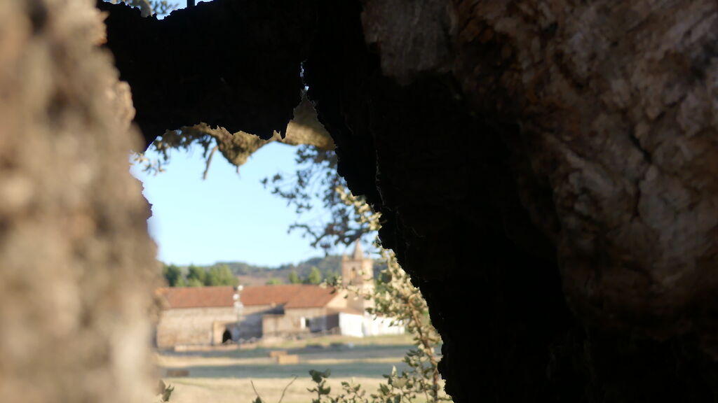 Arucci Turobriga: el yacimiento romano visitable m&aacute;s espectacular de Huelva