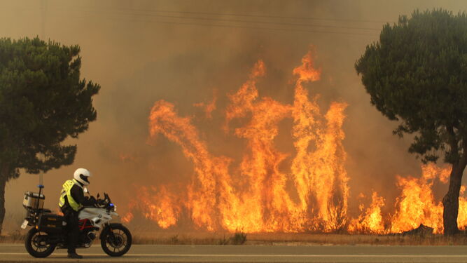 Se cumplen cinco años del incendio de Doñana