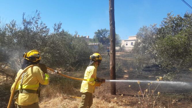 Efectivos de Infoca intervienen en el incendio de Linares de la Sierra