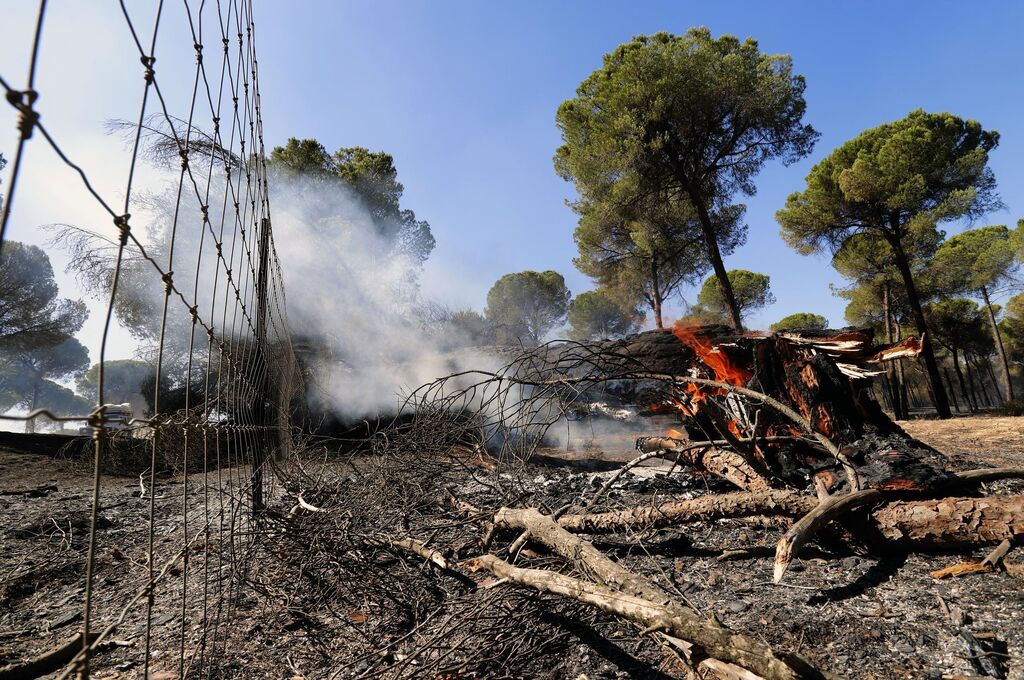 Im&aacute;genes de las zonas afectadas por los incendios de Almonte y Bonares