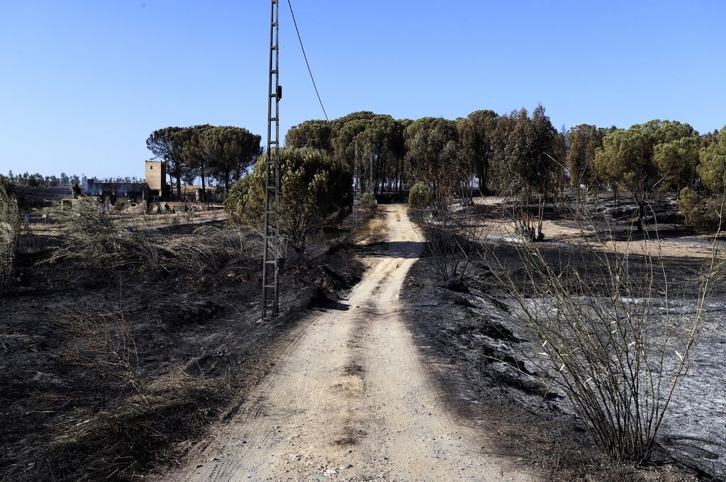 Im&aacute;genes de las zonas afectadas por los incendios de Almonte y Bonares