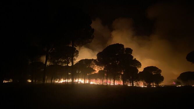 Las llamas durante la noche en la zona de La Cañada.