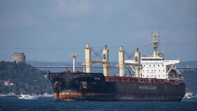 Otro carguero con grano ucraniano.