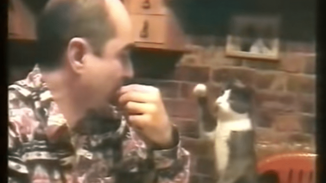 Un gato utiliza el lenguaje de signos para que su dueño sordo le entienda