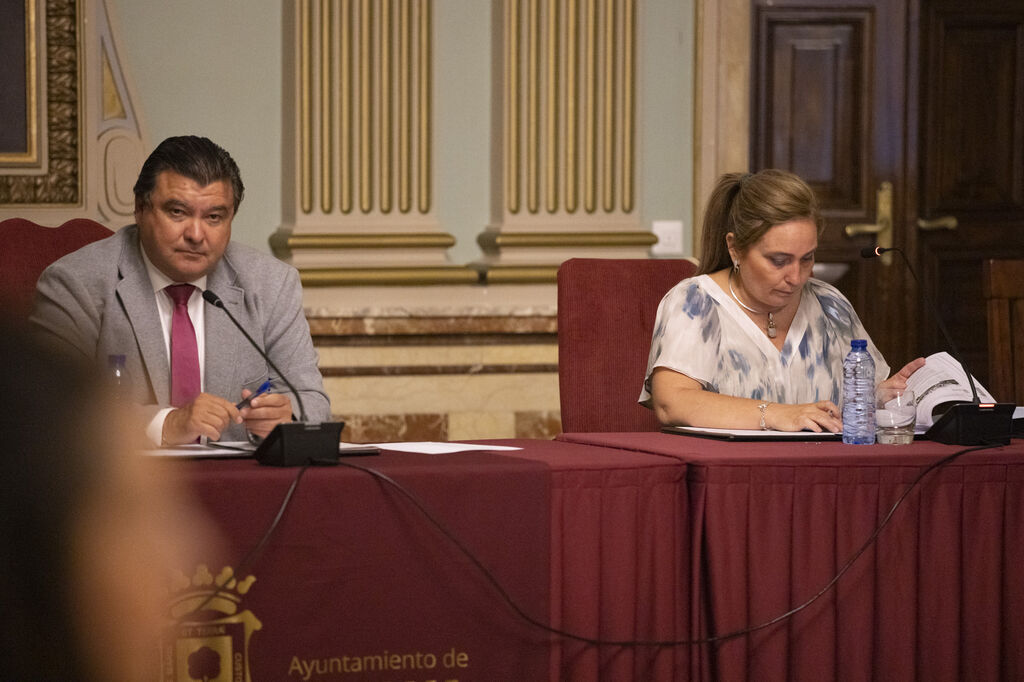Im&aacute;genes del pleno en el Ayuntamiento de Huelva del mi&eacute;rcoles 7 de agosto