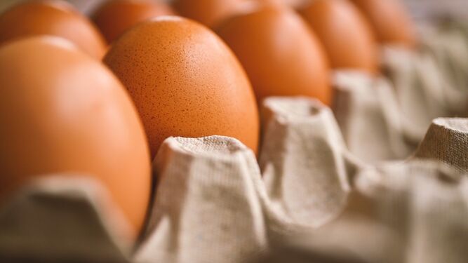 Los huevos son una fuente de proteína, además de ser ricos en vitaminas A, B, D y E.