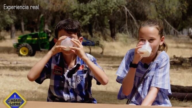 La reacción de un niño de campo y una niña de ciudad cuando toman leche recién ordeñada