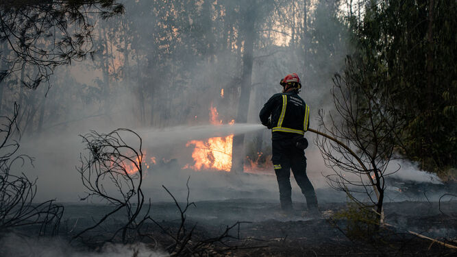 Un bombero combate las llamas durante el incendio de este verano.