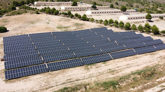 Imagen de la instalación de placas fotovoltaicas en uno de los centros productivos de Cefusa.