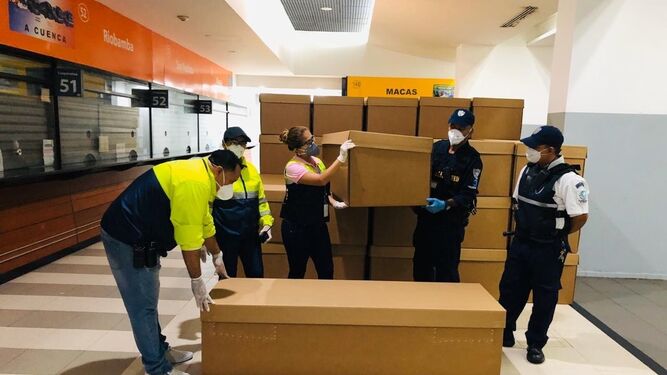 Varios agentes colocan ataúdes de cartón, una opción que proliferó durante la pandemia en América Latina ante la falta de ataúdes de madera.