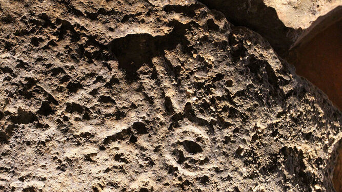 Arte rupestre en el Dolmen de Soto de Trigueros