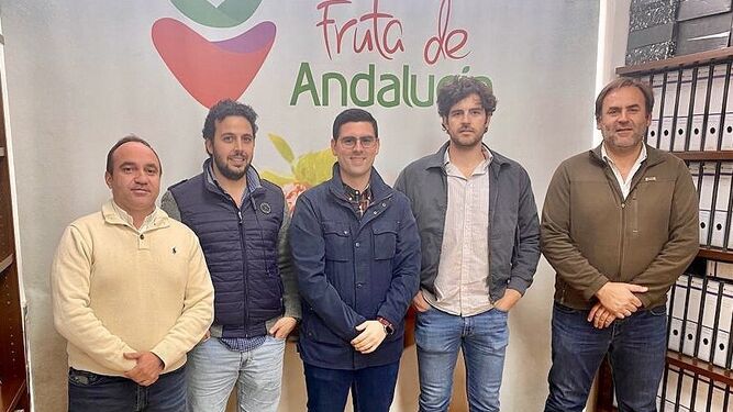 Consejo Rector de Fruta de Andalucía.