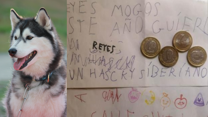 La carta viral de un niño a los Reyes Magos donde pide un perro Husky siberiano a cambio de 4 euros