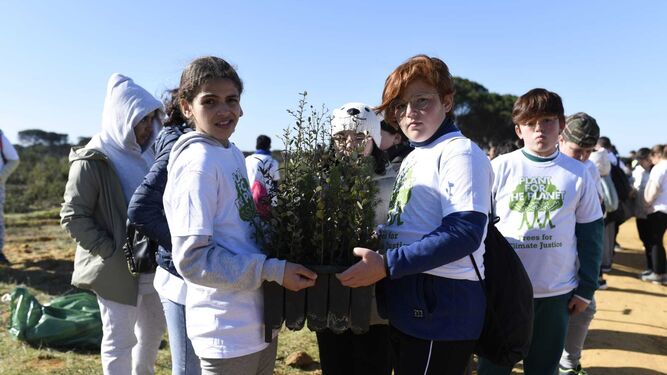 Algunos escolares portan los plantones de la reforestación.
