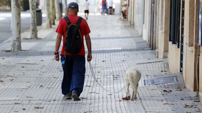 Ciudadanos propone una actualización de la normativa referente a mascotas.