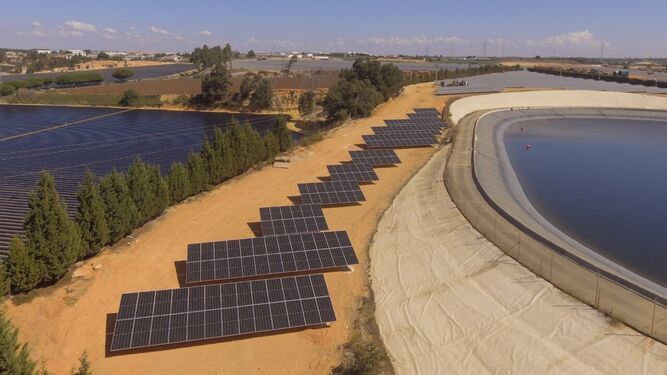 Paneles fotovoltaicos pertenecientes a la CR Palos. Imagen de archivo.