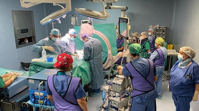 Dos nuevas donaciones de órganos en Huelva han salvado la vida de seis personas